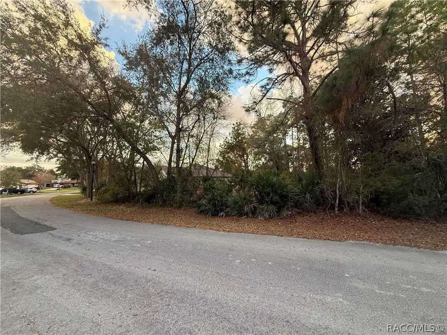 8 Mangrove Court N, Homosassa, FL 34446 - #2