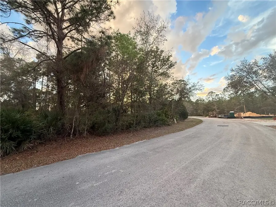 8 Mangrove Court N, Homosassa, FL 34446 - #3
