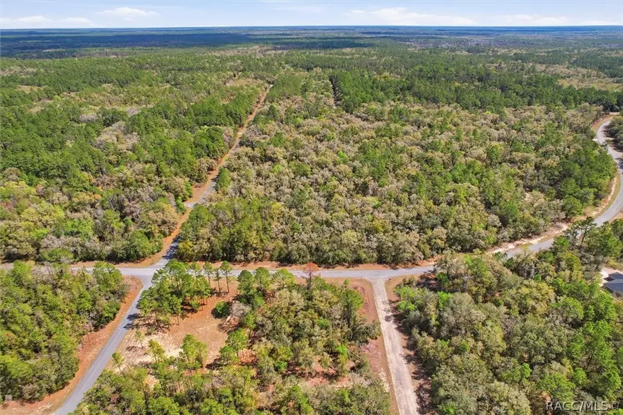 8987 N Alameda Drive, Dunnellon, FL 34434 - #2