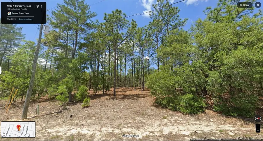 9830 N Corsair Terrace, Citrus Springs, FL 34433 - #2