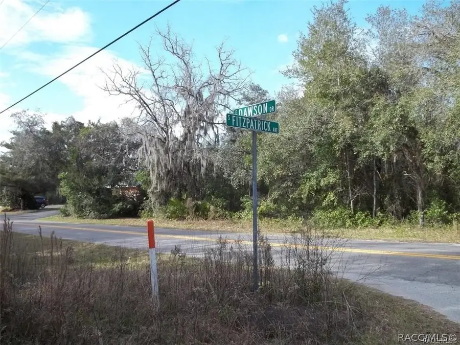 11 S Fitzpatrick Avenue, Inverness, FL 34453 - #2