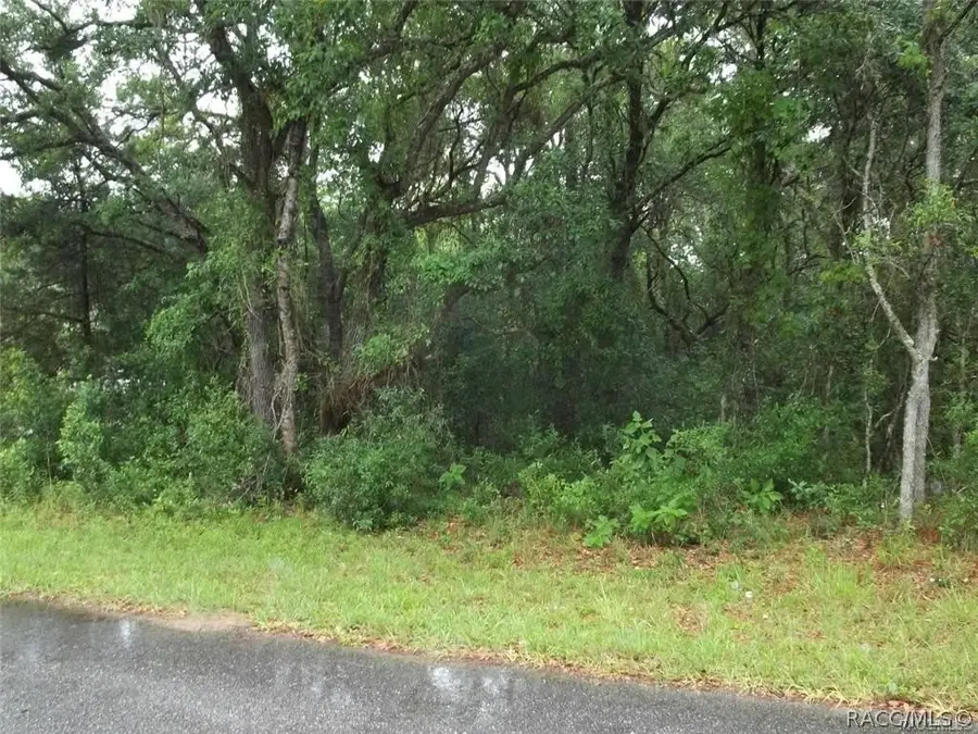 11 S Fitzpatrick Avenue, Inverness, FL 34453 - #3