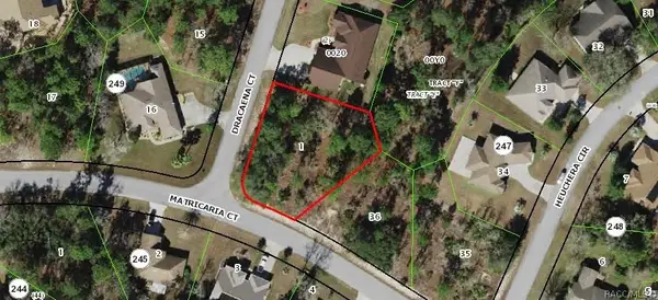 2 Dracaena Court, Homosassa, FL 34446