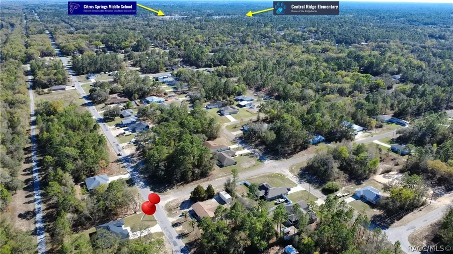 9495 N Sandree Drive, Citrus Springs, FL 34434 - #3