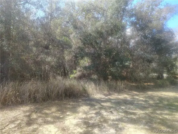 2498 W Aleuts Drive, Beverly Hills, FL 34465