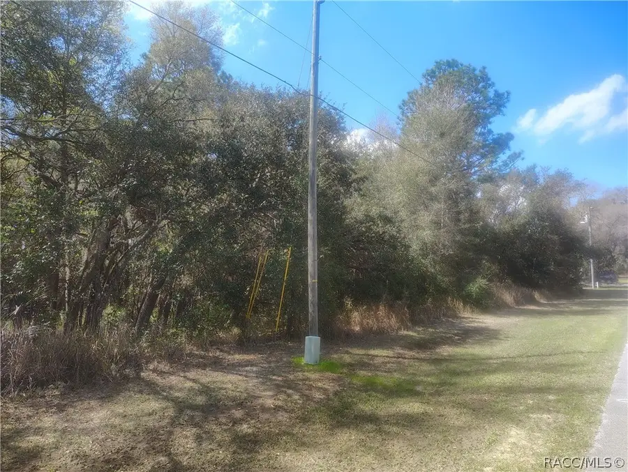 2498 W Aleuts Drive, Beverly Hills, FL 34465 - #2