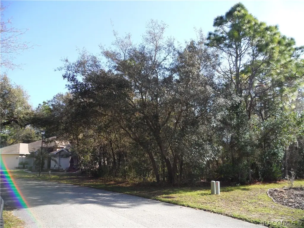 10 Impatiens Court, Homosassa, FL 34446 - #1