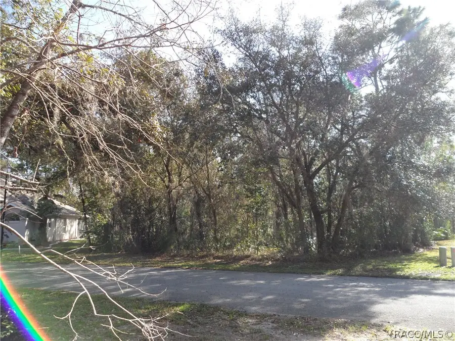 10 Impatiens Court, Homosassa, FL 34446 - #2