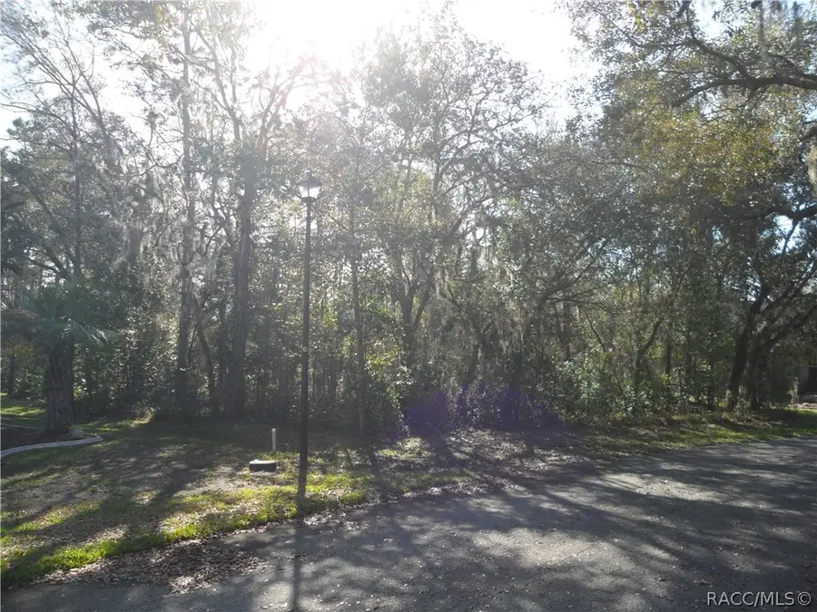 10 Impatiens Court, Homosassa, FL 34446 - #3