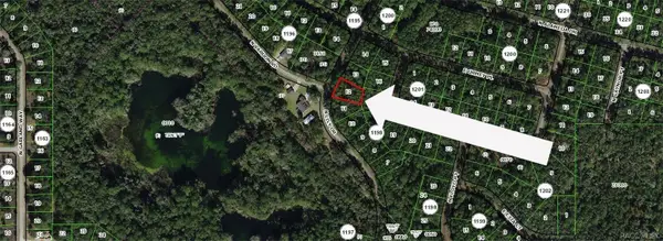 8295 N Lily Drive, Citrus Springs, FL 34434