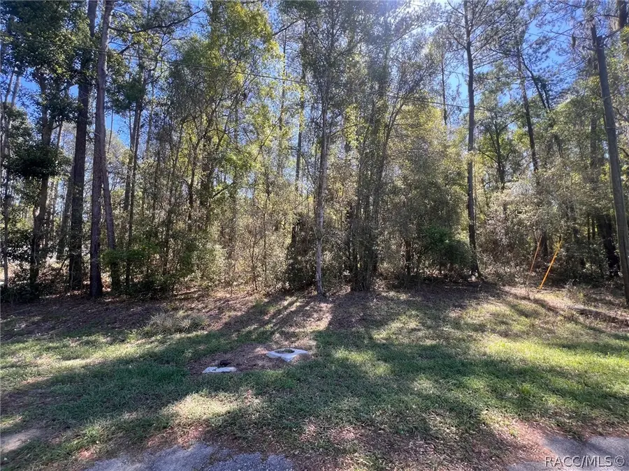 8295 N Lily Drive, Citrus Springs, FL 34434 - #2