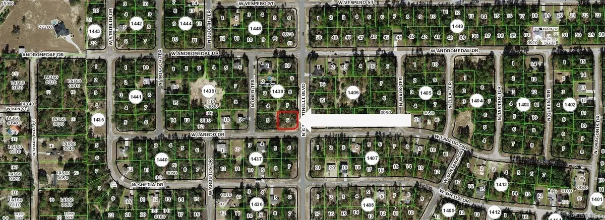 10920 N G Martinelli Boulevard, Citrus Springs, FL 34433 - #1