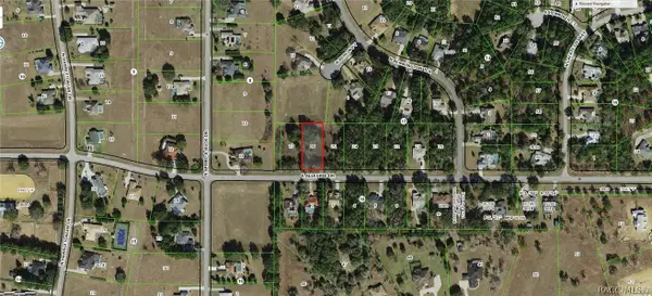 1439 E Allegrie Drive, Inverness, FL 34453