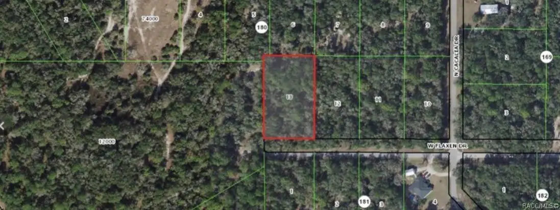 12989 W Flaxen Drive, Crystal River, FL 34428 - #1