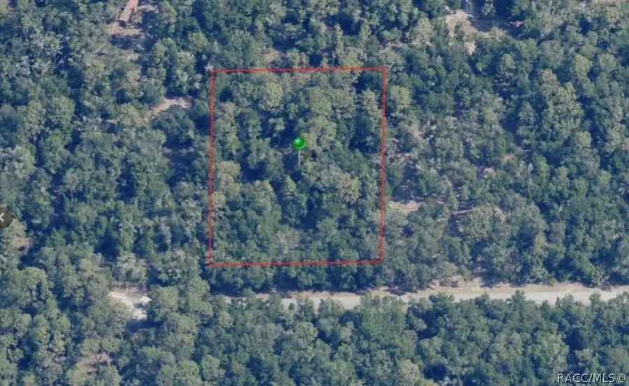 12989 W Flaxen Drive, Crystal River, FL 34428 - #3