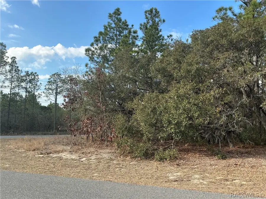 3959 W Galleon Street, Citrus Springs, FL 34433 - #3