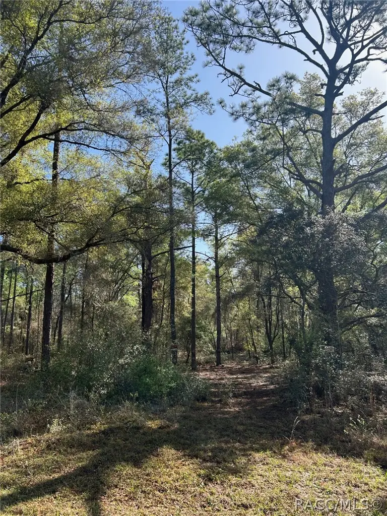 9315 N Lily Drive, Citrus Springs, FL 34434 - #3