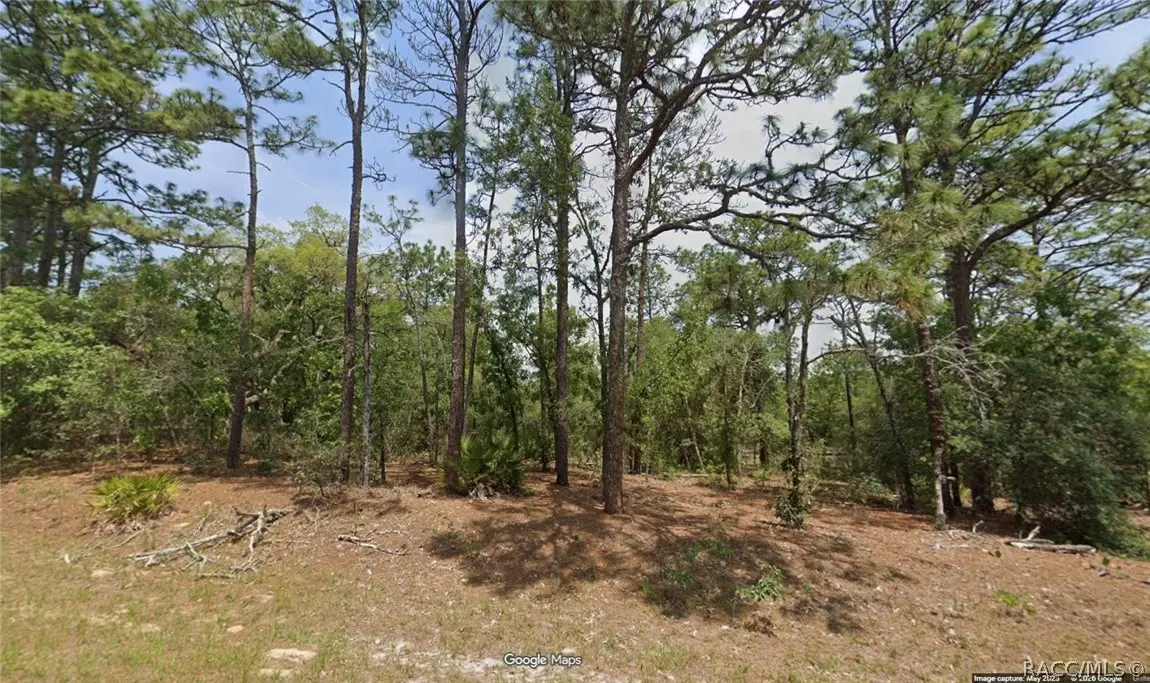 11351 N Kenney Loop, Dunnellon, FL 34433 - #1