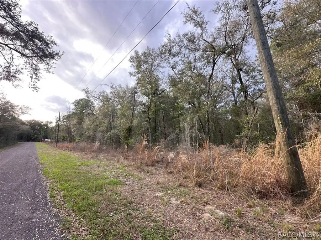 3505 E Lou Lane, Inverness, FL 34453 - #1