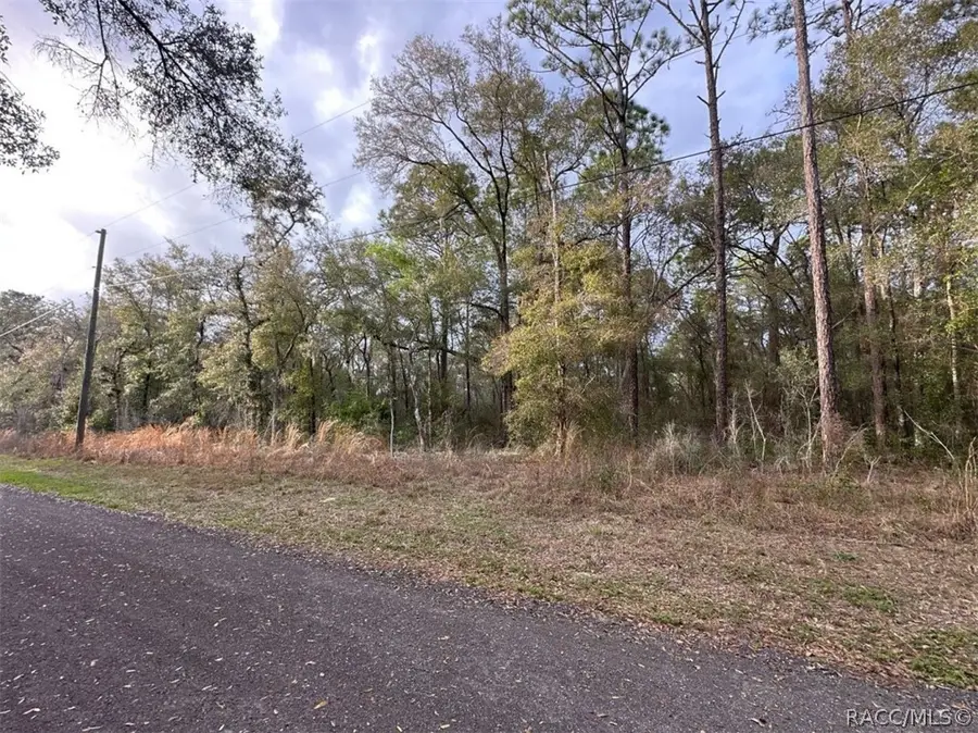 3505 E Lou Lane, Inverness, FL 34453 - #2