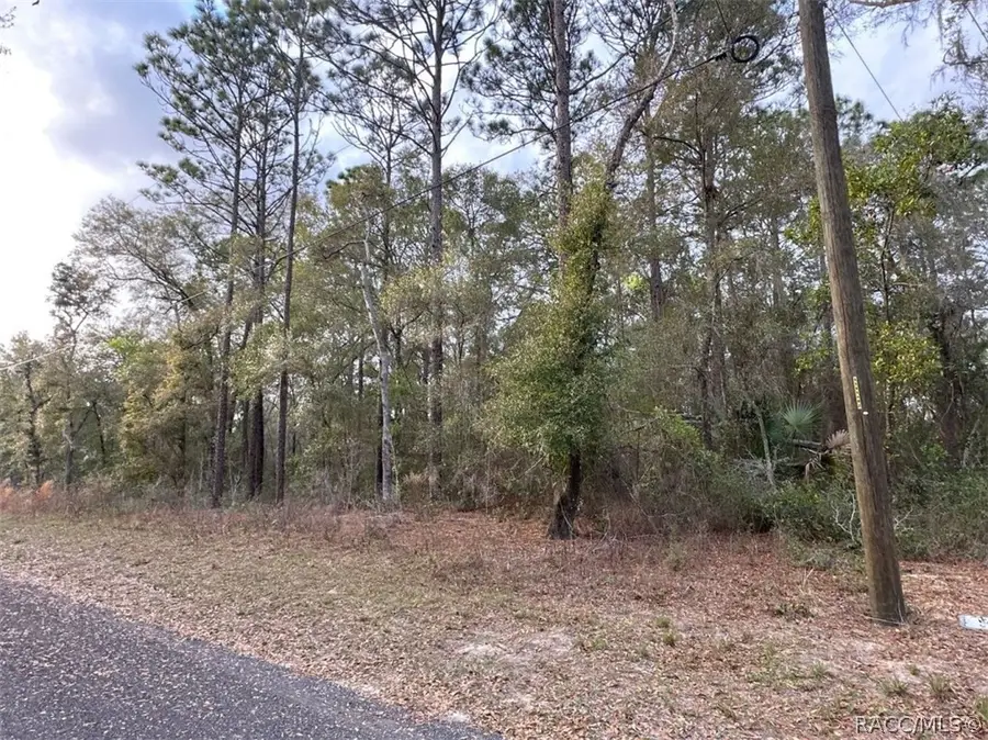 3523 E Lou Lane, Inverness, FL 34442 - #2