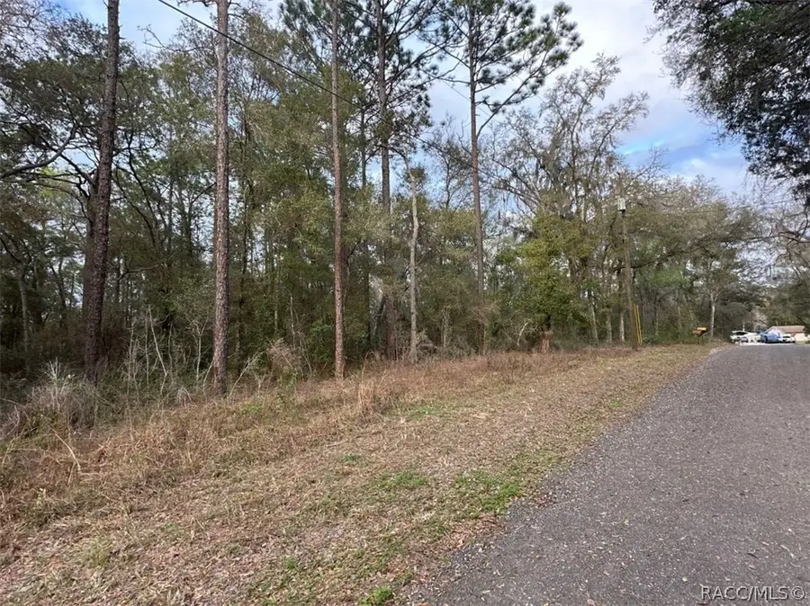 3523 E Lou Lane, Inverness, FL 34442 - #3