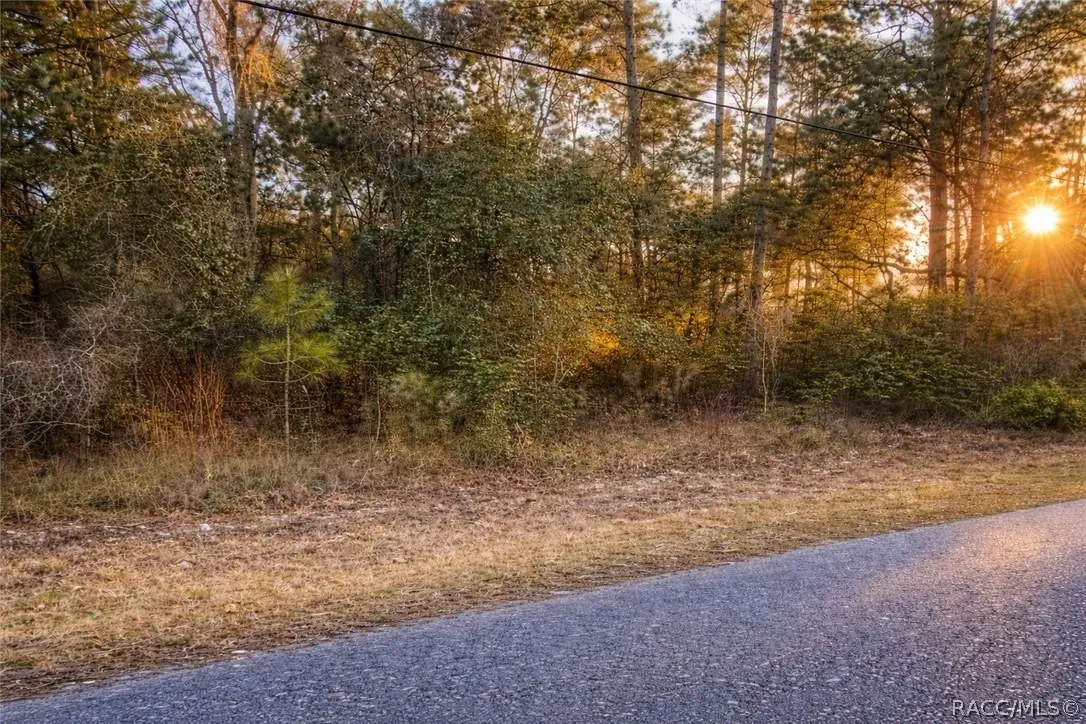 8248 E Fort Cooper Road, Inverness, FL 34450 - #1