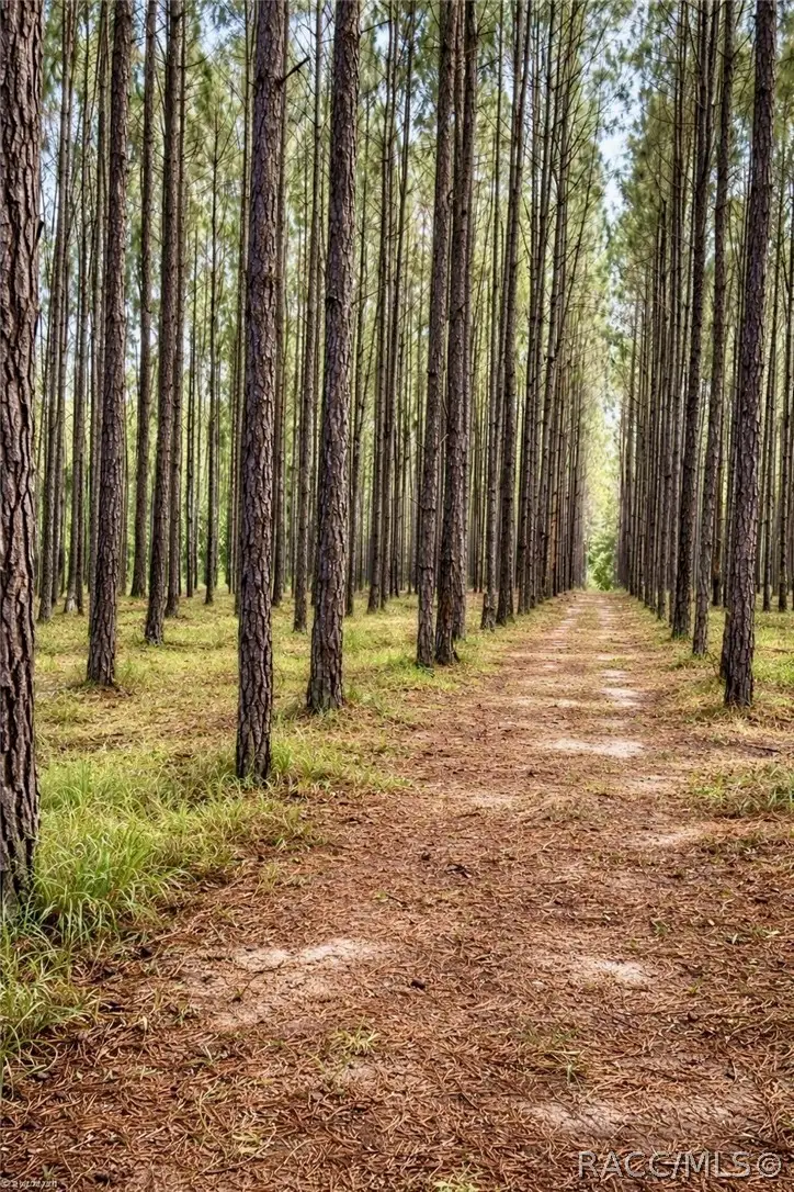 8248 E Fort Cooper Road, Inverness, FL 34450 - #2