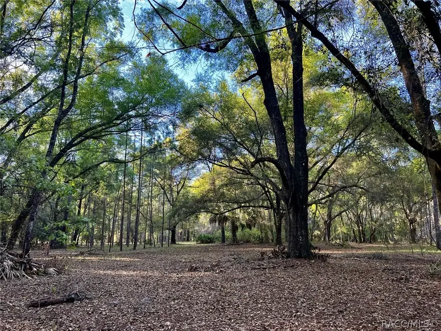 8248 E Fort Cooper Road, Inverness, FL 34450 - #3