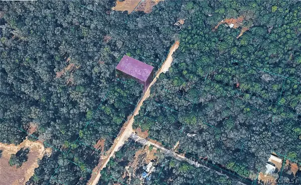 10452 N Dunedin Road, Dunnellon, FL 34433