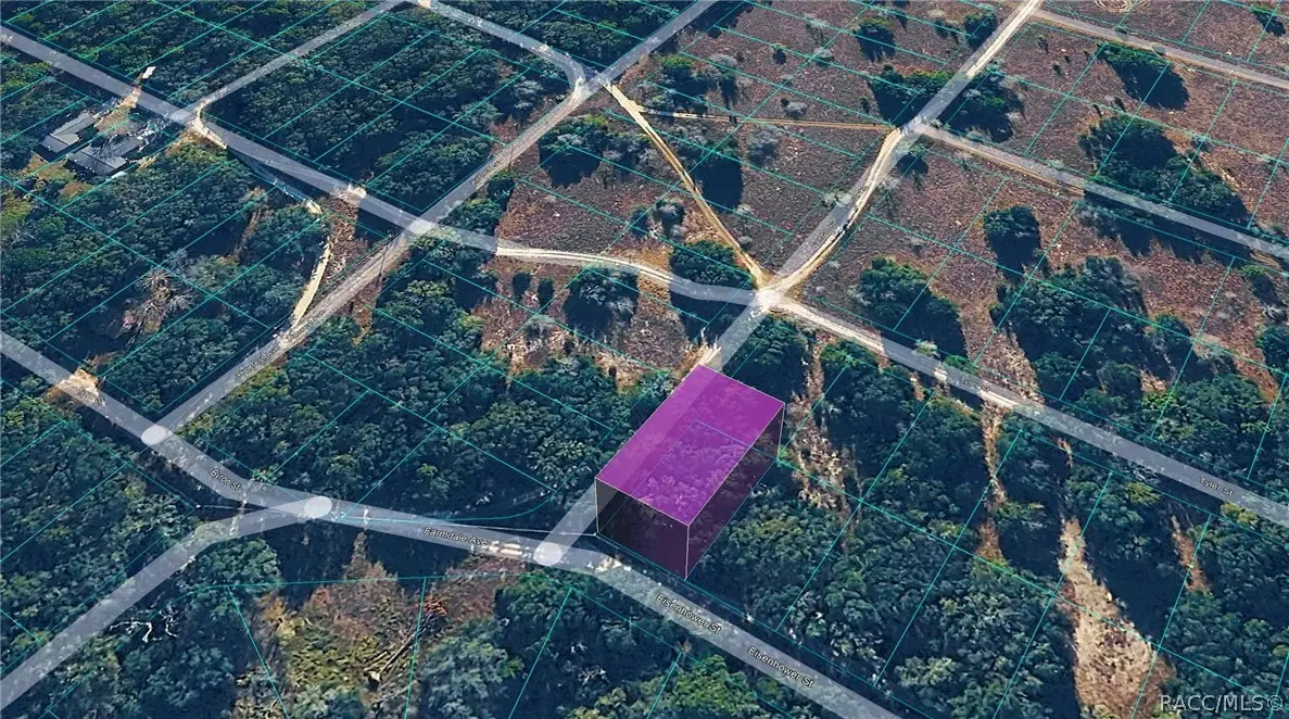 2301 Eisenhower Street, Inverness, FL 34453 - #1