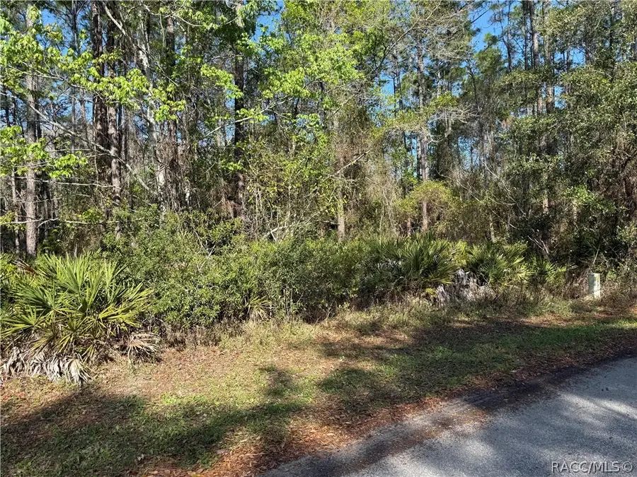 22 Mangrove Court N, Homosassa, FL 34446 - #2