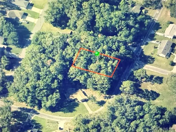 9948 N Sandree Drive, Citrus Springs, FL 34434