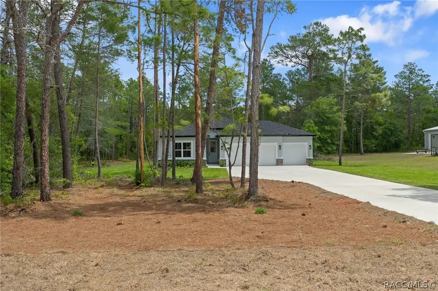 3219 N Tyrone Avenue, Hernando, FL 34442 - #2
