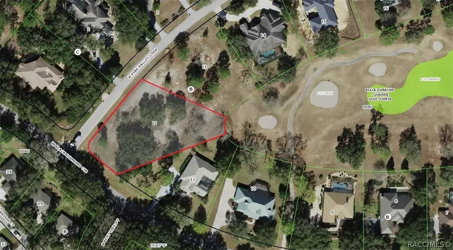 3541 N Pine Valley Loop, Lecanto, FL 34461 - #3