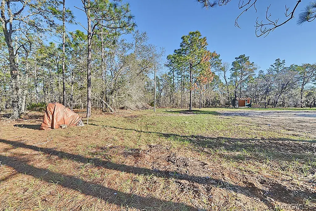 4697 W Mockingbird Street, Homosassa, FL 34446 - #1