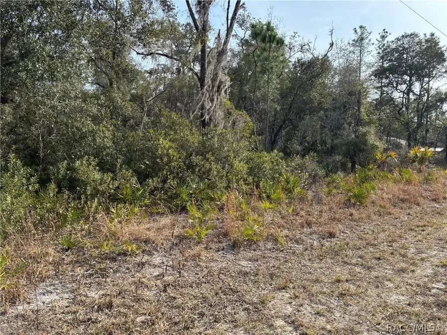 11264 W Riverwood Drive, Crystal River, FL 34428 - #3