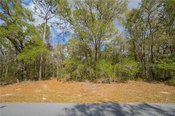 8743 N Sandree Drive, Citrus Springs, FL 34434
