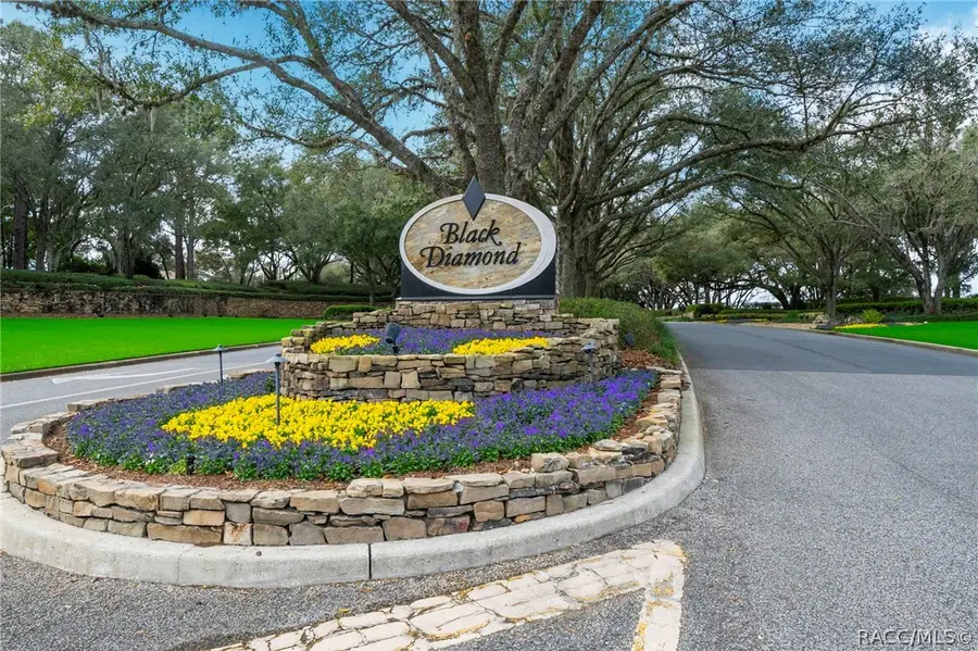 3680 W Treyburn Path, Lecanto, FL 34461 - #2