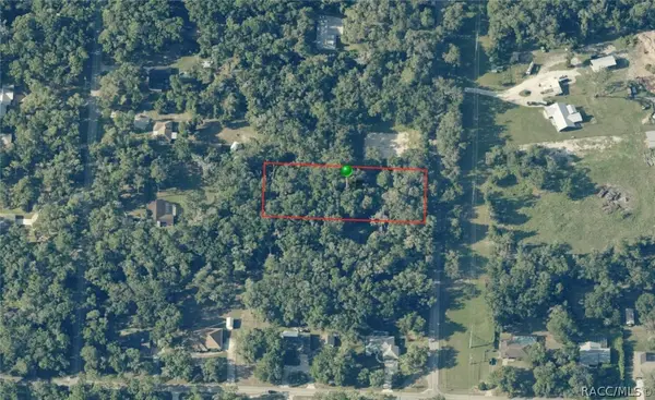 3987 S Big Al Point, Inverness, FL 34452
