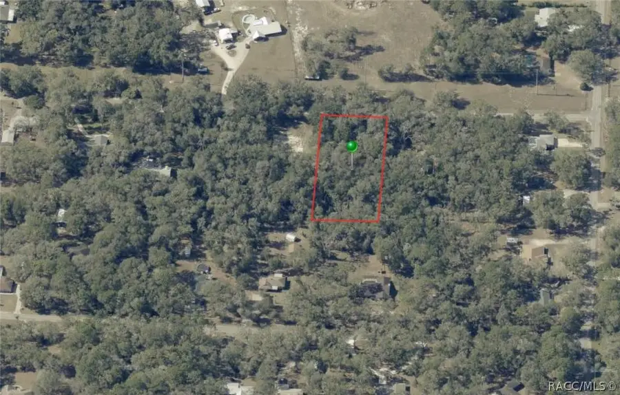 3987 S Big Al Point, Inverness, FL 34452 - #3