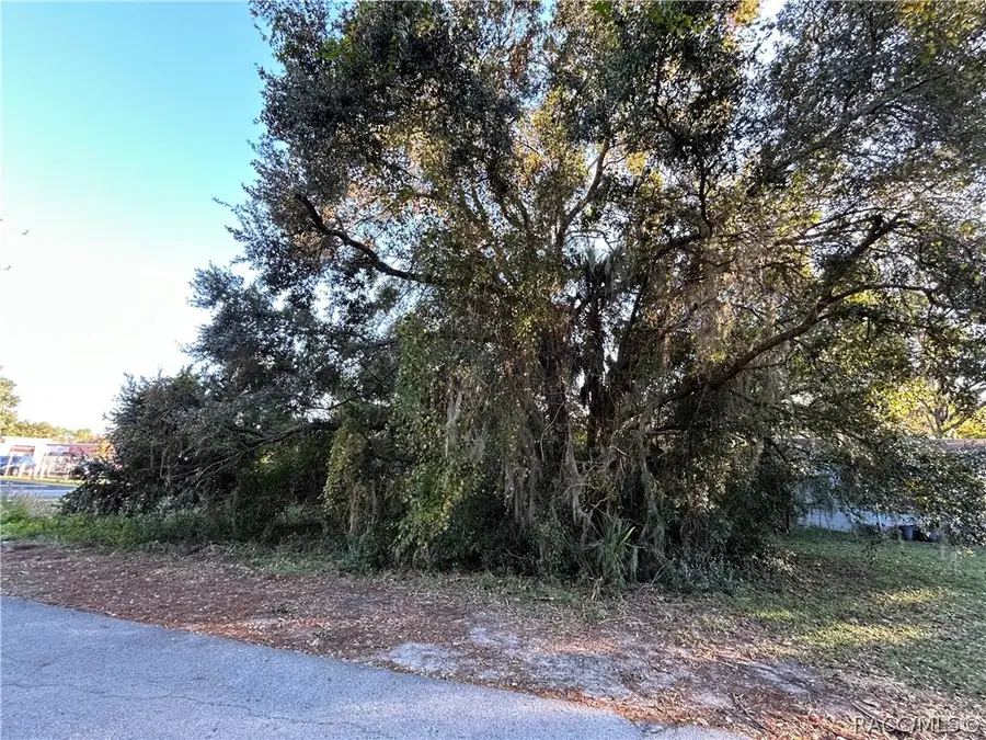 764 NE 12th Street, Crystal River, FL 34428 - #2