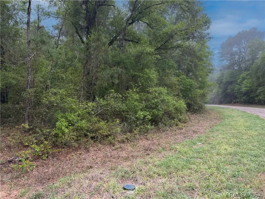 1512 E Carson Road, Dunnellon, FL 34434 - #3