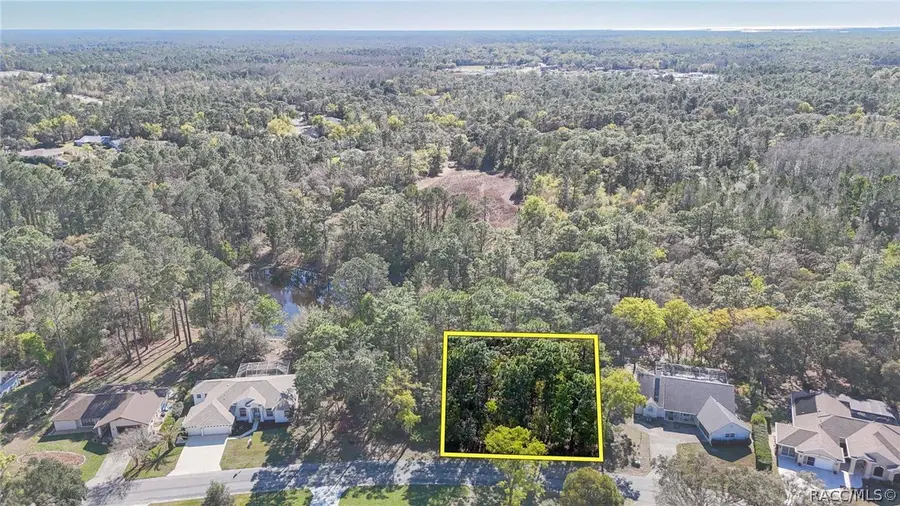 20 Hawthorne Court, Homosassa, FL 34446 - #3
