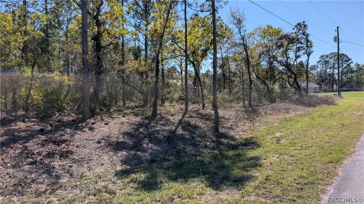 5824 W Corral Place, Beverly Hills, FL 34465 - #1