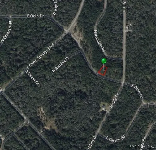 1345 E Odin Drive, Dunnellon, FL 34434 - #3