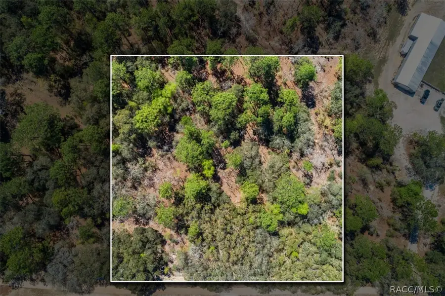 468 E Nicholas Street, Hernando, FL 34442 - #3