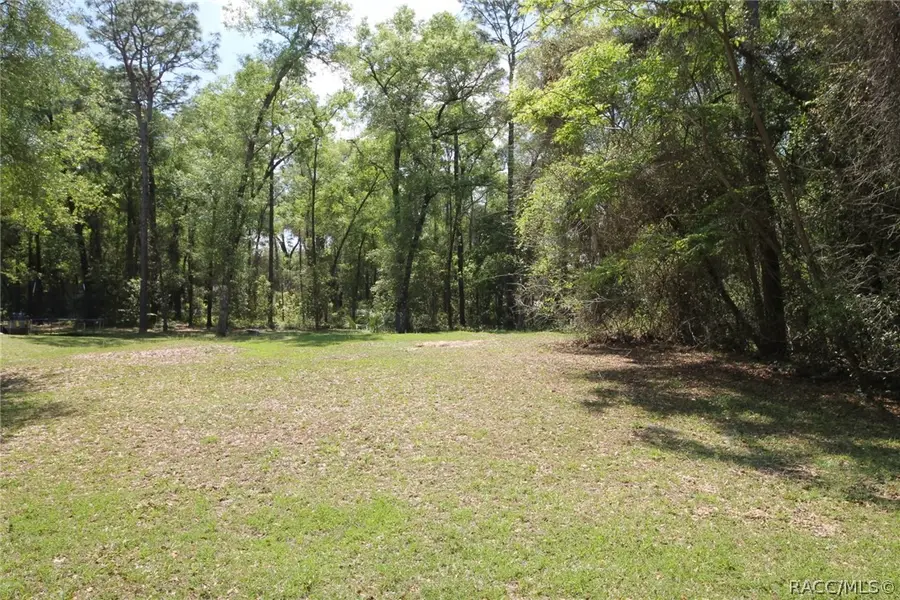 5976 E Lynn Street, Inverness, FL 34452 - #2