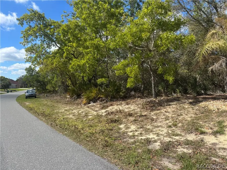 126 Linder Drive, Homosassa, FL 34446 - #2