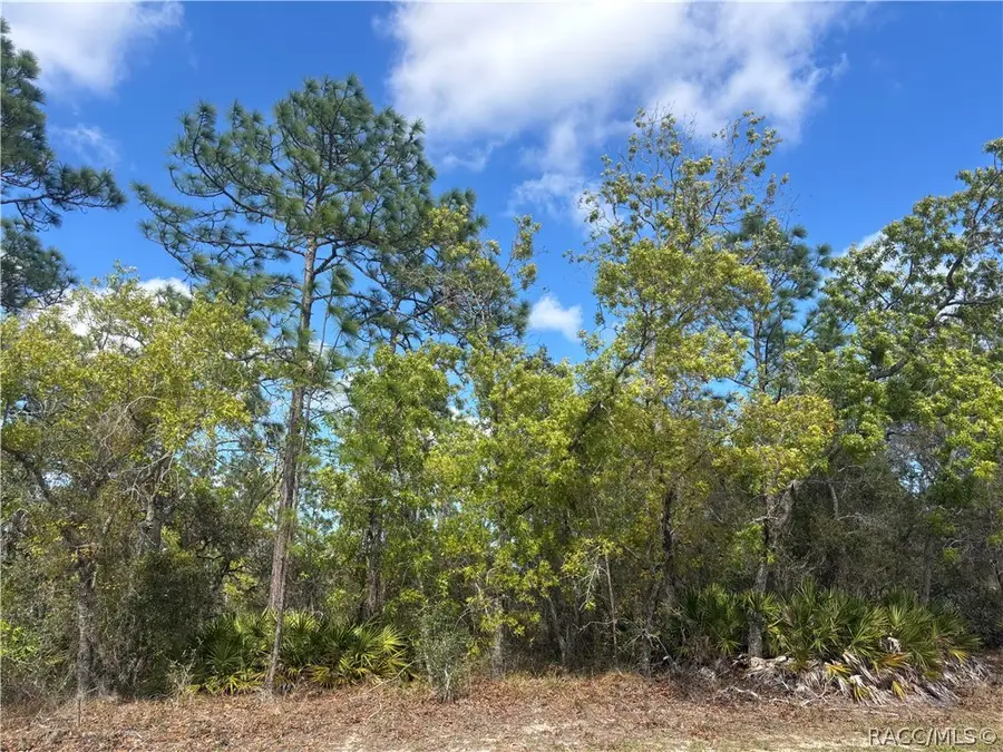 126 Linder Drive, Homosassa, FL 34446 - #3